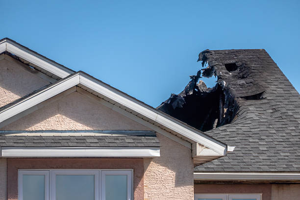 Top rated local Fire Damage Cleanup specialists in Rosedale, WA